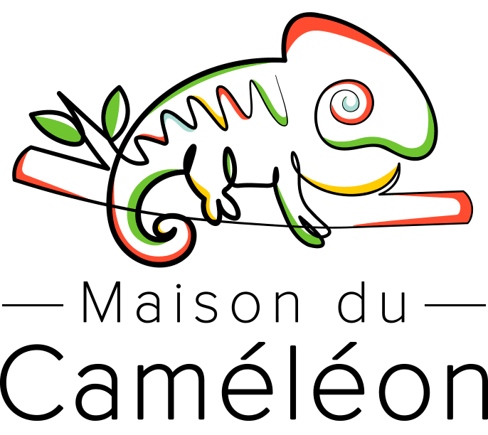Welcome to Maison Du Caméléon